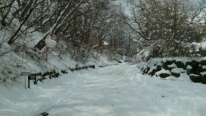 軽井沢の季節外れの大雪